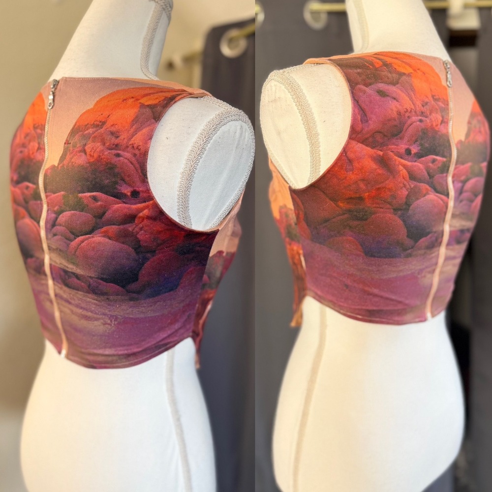 Miaou Campbell Oasis Corset Top Large Orange Desert Waterfall Landscape Boned - Picture 13 of 16